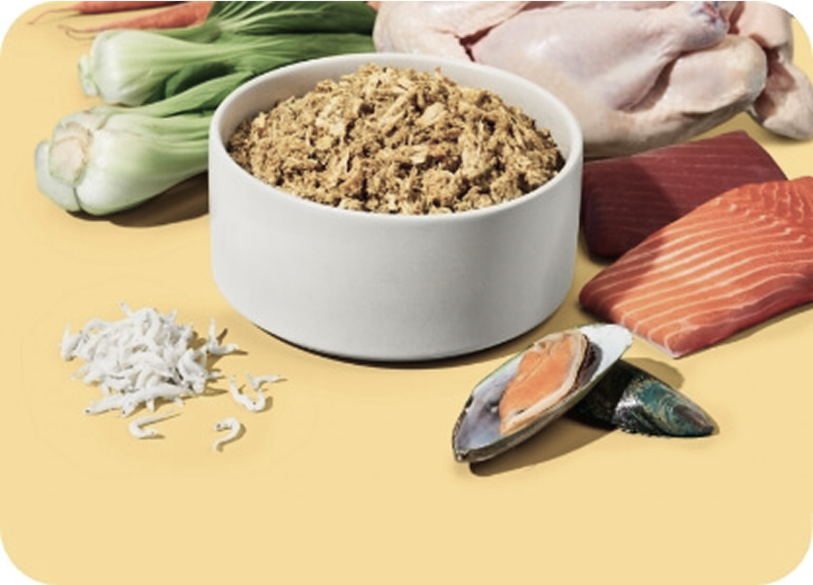Our Food Preparation