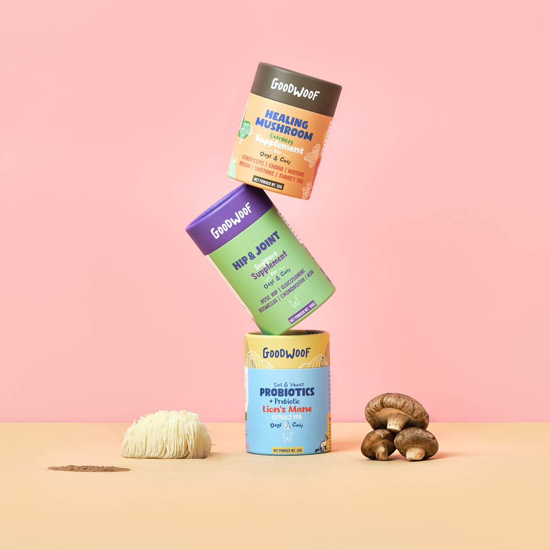 Healing Mushroom Extracts Supplement for Dogs & Cats